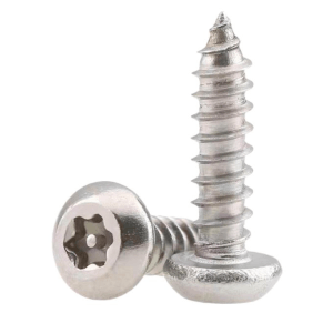 What Are Different Types Of Torx Screws Choosing The Right One For