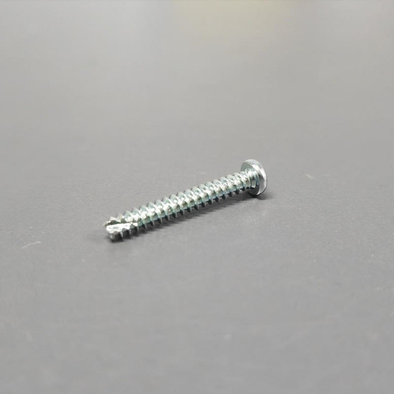 Pan Head with Tail Tapping Screw