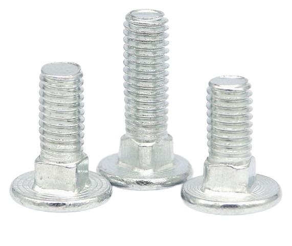 Custom Carriage Bolt