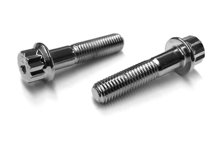 Stainless steel 12 Point Bolts