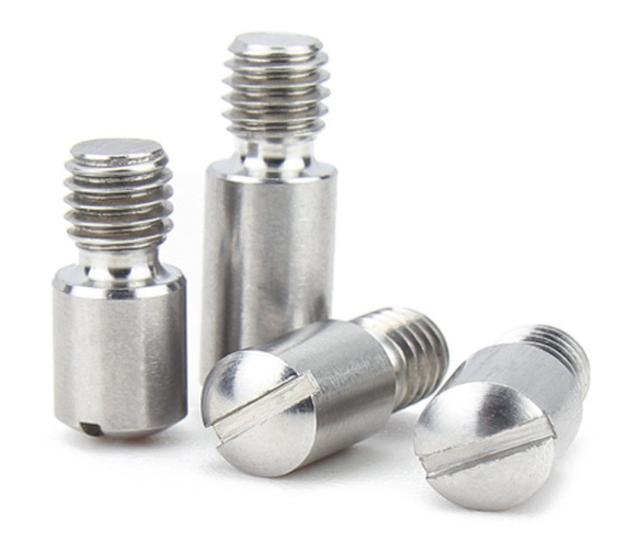 Slotted Axis Step Screws