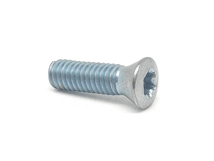 Oval head Torx drive Screw