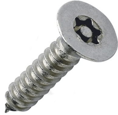 Phillips with Pin Tamper-Proof Screw