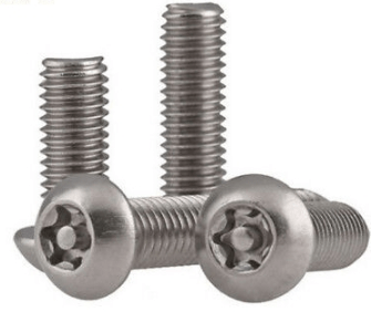 Torx  Screw with a Pin